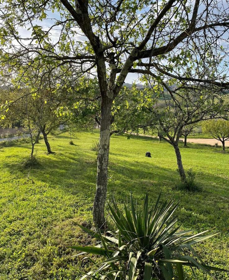 Agriturismo La Corte Del Sole シエーナ エクステリア 写真