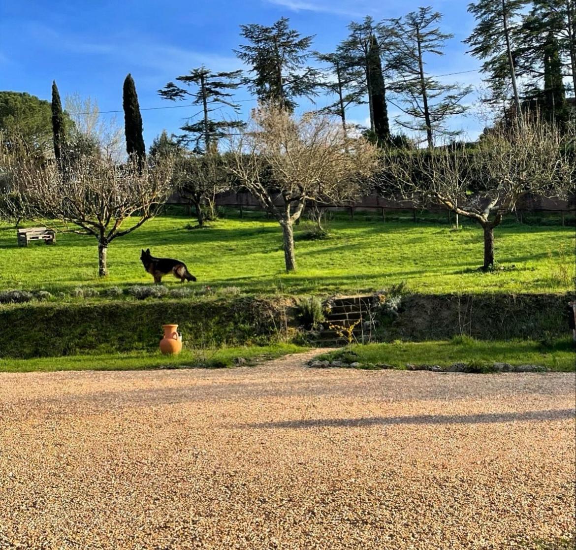 Agriturismo La Corte Del Sole シエーナ エクステリア 写真