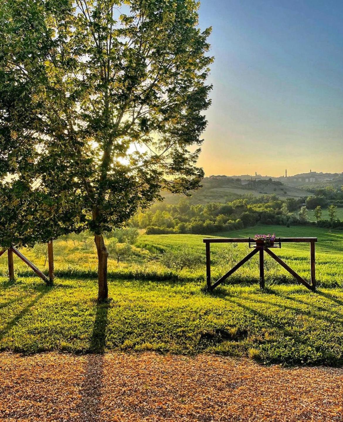 Agriturismo La Corte Del Sole シエーナ エクステリア 写真