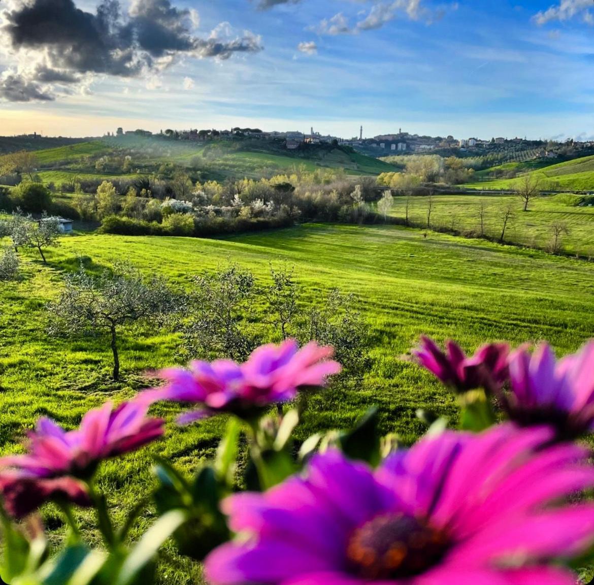 Agriturismo La Corte Del Sole シエーナ エクステリア 写真