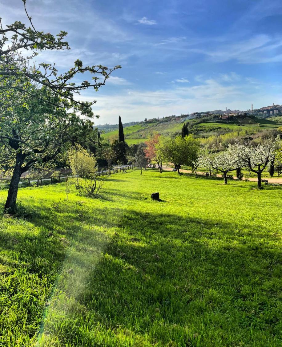 Agriturismo La Corte Del Sole シエーナ エクステリア 写真