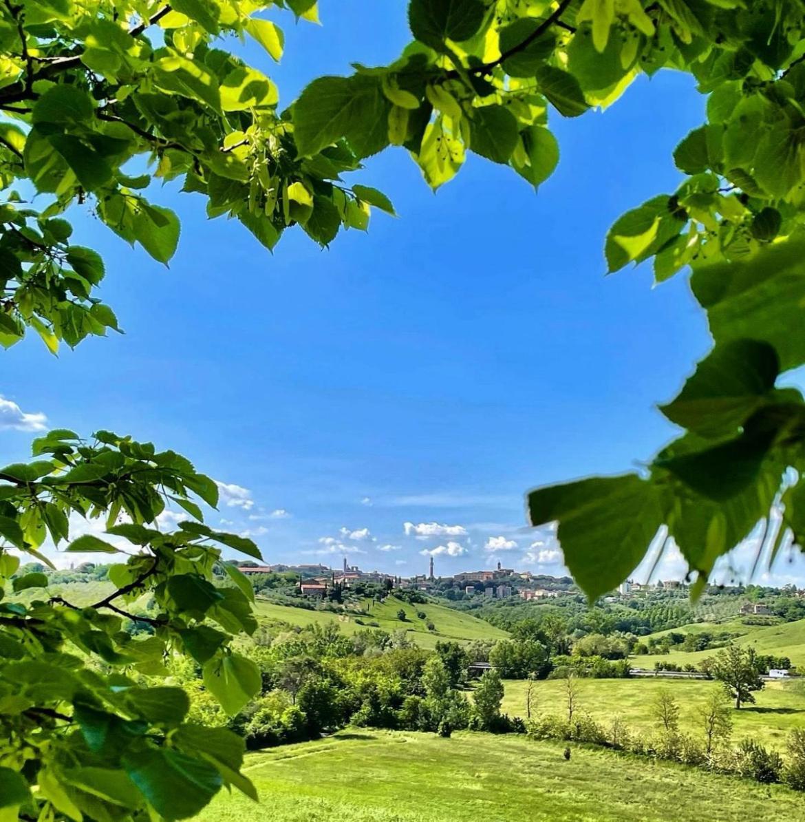 Agriturismo La Corte Del Sole シエーナ エクステリア 写真
