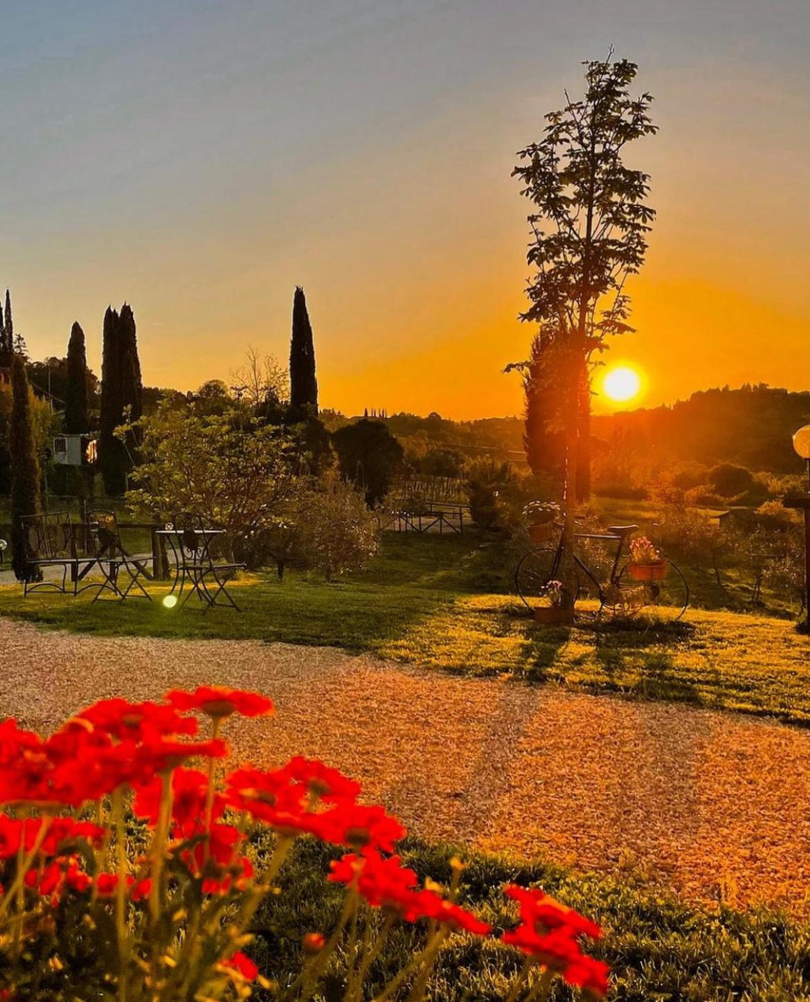 Agriturismo La Corte Del Sole シエーナ エクステリア 写真